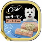 シーザー　あじわいサーモン風味ポテトとにんじん入り　100ｇ 100g ポテト・にんじん入り ビバホーム