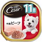 シーザー　11歳からの吟選ビーフ　100ｇ 100g 11歳から ビバホーム