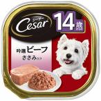 シーザー　14歳からの吟選ビーフ　ささみ入り　100ｇ 100g 14歳から ささみ入り ビバホーム