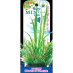 jeks.. вода .MIX растения Msiperus другие размеры 1 прочее цвет 1 viva Home 