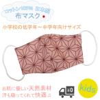 布マスク 子供 子供用 