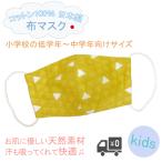 布マスク 子供 子供用 