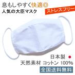 布マスク 日本製 大臣 白 折り返し 大きめ メンズ 舟形 洗える おしゃれ 立体 マスク 息がしやすい 女性 綿 布 敏感肌 天然素材 ストライプ柄