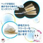 ボディブラシ 背中 ロング 豚毛 日