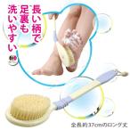 ボディブラシ 背中 ロング 豚毛 日