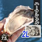 牡蠣 ハーフシェル 7.5kg 約96個 2Lサイズ 冷凍 韓国トンヨン カキ かき 殻付き BBQ