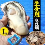 .. сырой еда для . имеется 1kg 6~12 шт .. устрица сырая устрица Miyagi префектура производство три суша прямая поставка от производителя 