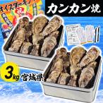  can can жарение 2 жестяная банка комплект ..3kg 20~36 шт армия рука * нож есть рефрижератор Miyagi префектура производство три суша жестяная банка жестяная банка жарение .. устрица ... имеется барбекю bbq морепродукты 