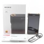 SONY Sony NW-WM1AM2