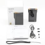 SONY NW-WM1A