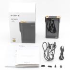 SONY NW-WM1A черный 