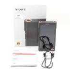 SONY WALKMAN( Walkman ) NW-WM1AM2
