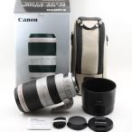 CANON EF 100-400mm F4.5-5.6L IS II USM