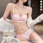 レディース ランジェリー ブラ ショーツ 上下セット おしゃれ シンプル 谷間 通気性 可愛い