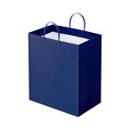 (まとめ) TANOSEE ラミネートバッグ マチ広 ヨコ350×タテ400×マチ幅220mm 紺 1パック（10枚） 〔×5セット〕爆買