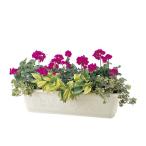 (2 шт. комплект ) Ricci .ru посадочная машина слоновая кость 55 type ( цветочный горшок ). покупка 