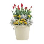 (2 шт. комплект ) Ricci .ru круг посадочная машина слоновая кость 32 type ( цветочный горшок ). покупка 