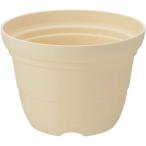 (2 шт. комплект ) Ricci .ru.... pot 8 номер бежевый . покупка 