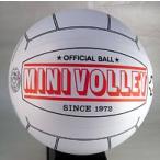  Mini bare-/ мяч MINI-VB-10SET