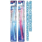 広めすき間専用歯ブラシ(ふつう) 日本製 12個セット