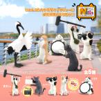 ガチャガチャ コンプリート 猫 ネコ 動物 中身 おもちゃ フィギュア かわいい にゃんこチャンネル 全5種類セット