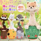 人形 おもちゃ おもしろ ものまね 録音 踊る マネる 光る 奏でる ダンシング ギミック しろネコ かわうそ レッサーパンダ しばいぬ プレゼント