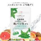 ご当地グミ ニッポンエール 北海道産 和ハッカグミ ご当地 お菓子 グルメ お土産 名産 果実グミ 全国農協食品