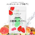 . данный земля gmi Nippon e-ru Nara префектура производство старый столица .gmi. данный земля сладости гурман . земля производство название производство плоды gmi вся страна сельское хозяйство . еда 