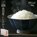 お米 20kg 白米 送料無