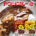 チャンピオンカレー レトルト セット 甘口 5袋 中辛 5袋 お得な10個セット 詰め合わせ まとめ買い TV 秘密のケンミンSHOWで紹介されました