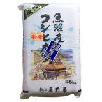 【精米】新米 新潟県北魚沼産(旧広瀬・守門村)コシヒカリ 白米 5kg 令和3年産 新潟辰巳屋(産地直送米)