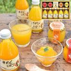 バラエティセット 寒天 ゼリー オレンジジュース (通常ギフト)