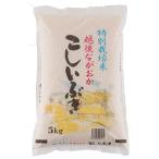 新米 精白米 5kg 新潟県産 こしいぶき 安心安全な特別栽培米 令和3年産(5kg)
