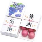Yahoo! Yahoo!ショッピング(ヤフー ショッピング)吉松 マルカワガム [ 感謝 水引 / グレープ ] 24個入 挨拶 お礼 感謝 退職 メッセージ お菓子 プチギフト （ 個包装 ）