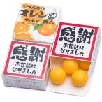 Yahoo! Yahoo!ショッピング(ヤフー ショッピング)吉松 マルカワガム [ 感謝 お世話になりました / オレンジ ] 24個入 挨拶 お礼 感謝 退職 メッセージ お菓子 プチギフト （ 個包装 ）