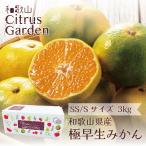[7 предприятие дней в течение отправка средний ] высшее . сырой мандарин [ SS/S размер 3kg ] бесплатная доставка Wakayama . юг мандарин Unshu маленький шарик маленький шар SS S сахар раз . толщина для бытового использования citrus сад 