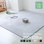 ショッピングラグ ラグ カーペット 約3畳 全4色 洗える オールシーズン 200×250cm ラグマット リビングマット 床暖房 ホットカーペット対応 北欧 ウォッシャブル Lサイズ