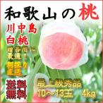 和歌山田中農園の桃 川中島白桃　贈答用秀品4kg　10玉〜13玉