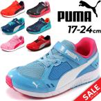 Yahoo! Yahoo!ショッピング(ヤフー ショッピング)キッズシューズ PUMA プーマ スピードモンスターV3 スニーカー ジュニア 子供靴 17.0-24.0cm ゴム紐 男の子 女の子 小学生 通学靴 運動靴 男児 女児/190266