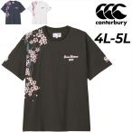  canterbury короткий рукав футболка 4L 5L унисекс большой размер регби canterbury Japan S/S spec kte-ta- чай большой размер JAPAN Япония представитель /RA34771B