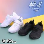 瞬足 キッズ ジュニア スニーカー シュンソク エスアクセルレータ 2E幅 15-25cm 子供靴 スクールシューズ 白靴 黒靴 通学靴 子ども キッズシューズ /SJJ1970