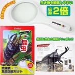 ショッピング自由研究 昆虫図鑑 子供向け 学研 虫眼鏡 ルーペ 大きい 子供用 虫めがね 夏休み自由研究 2倍 プレゼントに