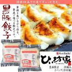 ショッピングギョウザ 餃子 ギョウザ ぎょうざ TVで紹介された 鹿児島黒豚 ひぃ坊家餃子 40個 セット  送料無料 ご当地 お取り寄せグルメ お土産