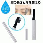眉毛 シェーバー メンズ フェイスシェーバー フェースシェーバー エチケットカッター 男性用 顔そり 水洗い メール便送料無料