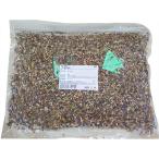 エキナセア（ハーブ） / 500g 富澤商店 公式