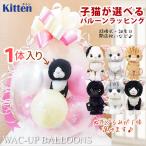 子猫 誕生日 プレゼント 結婚式 バルーン電報  おしゃれ ペット 出産祝い 入学祝い 入園祝い 卒業祝い 開店祝い ぬいぐるみバルーンラッピング 選べるキトン猫