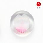 石塚硝子ISHIZUKAGLASS...