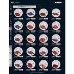 福井クラフト　ＴＡ）径１５０寿司