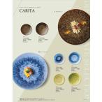 カリタ 24cmミート（冬銀河） 173-A6-386 HOTEL&RESTAURANT WARE Vol.22 カネスズ セラミックス