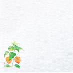 ５寸グルメ敷紙  ほうずき  (100枚入) 65126 YOUBI 用美 Vol.21